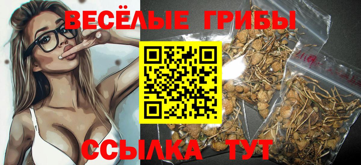 Шали  Псилоцибиновые грибы Magic Shrooms  Вход с VPN 