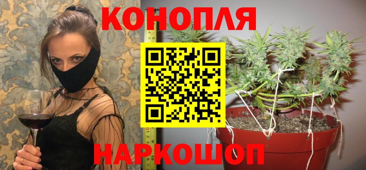 Канабис MAZAR  Вход с VPN  Конопля AK-47  Шали  МАРИХУАНА сатива  Шишки марихуана марихуана 